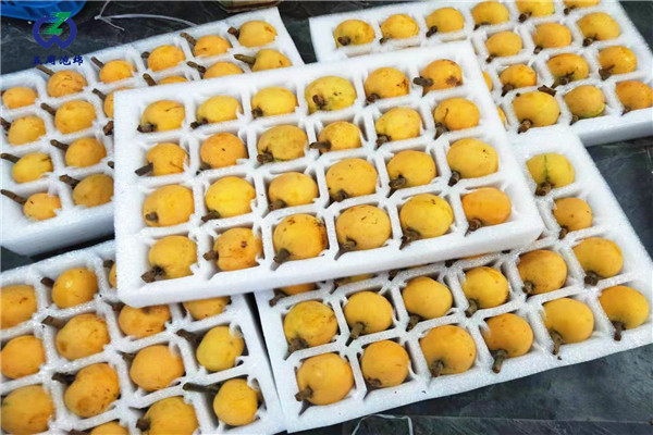定做枇杷托的材料是環(huán)保的嗎？